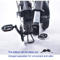 Folding Aluminum Alloy Fat Tire Electric Bike